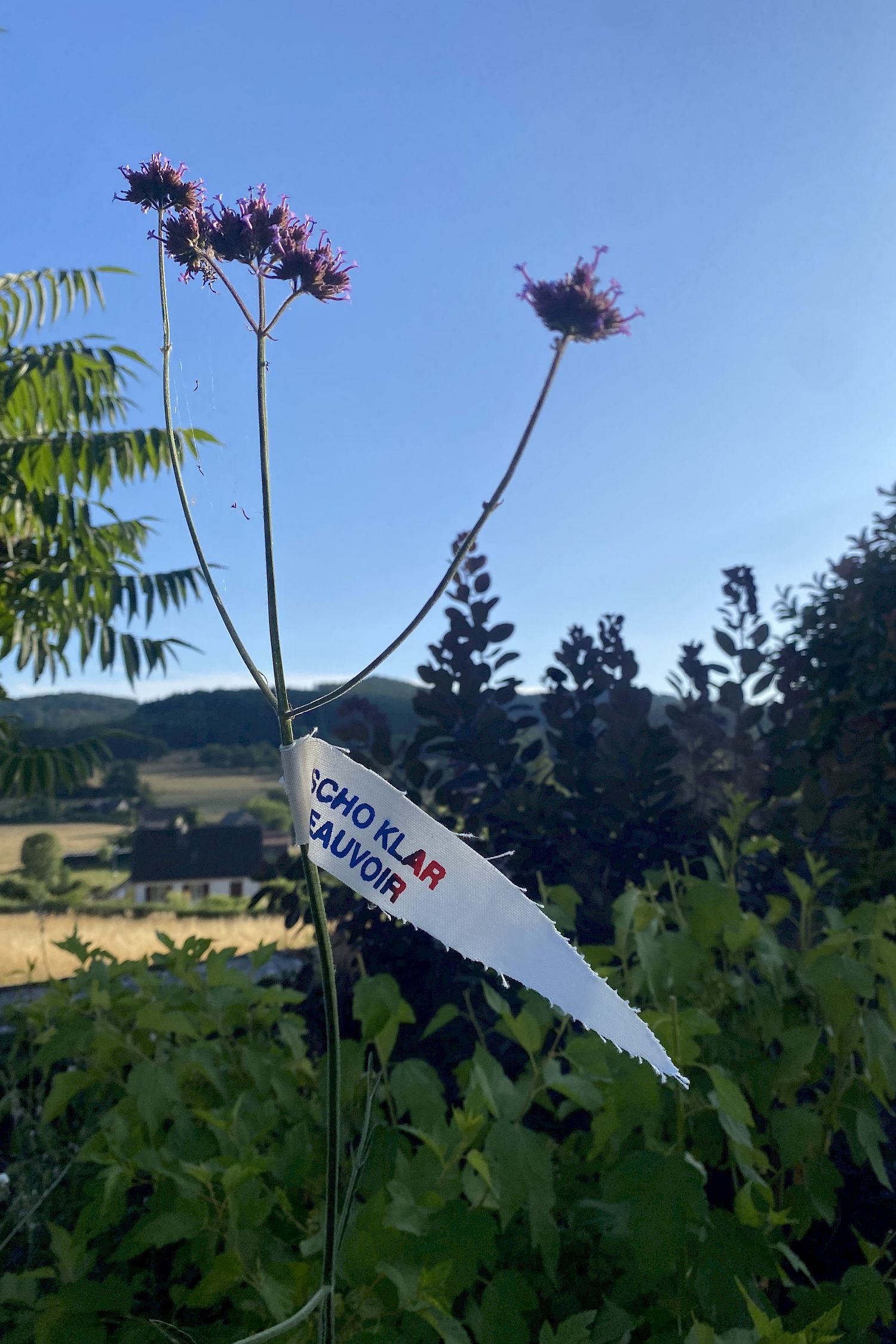 Ensemble Sommant, Bourgogne, Frankreich