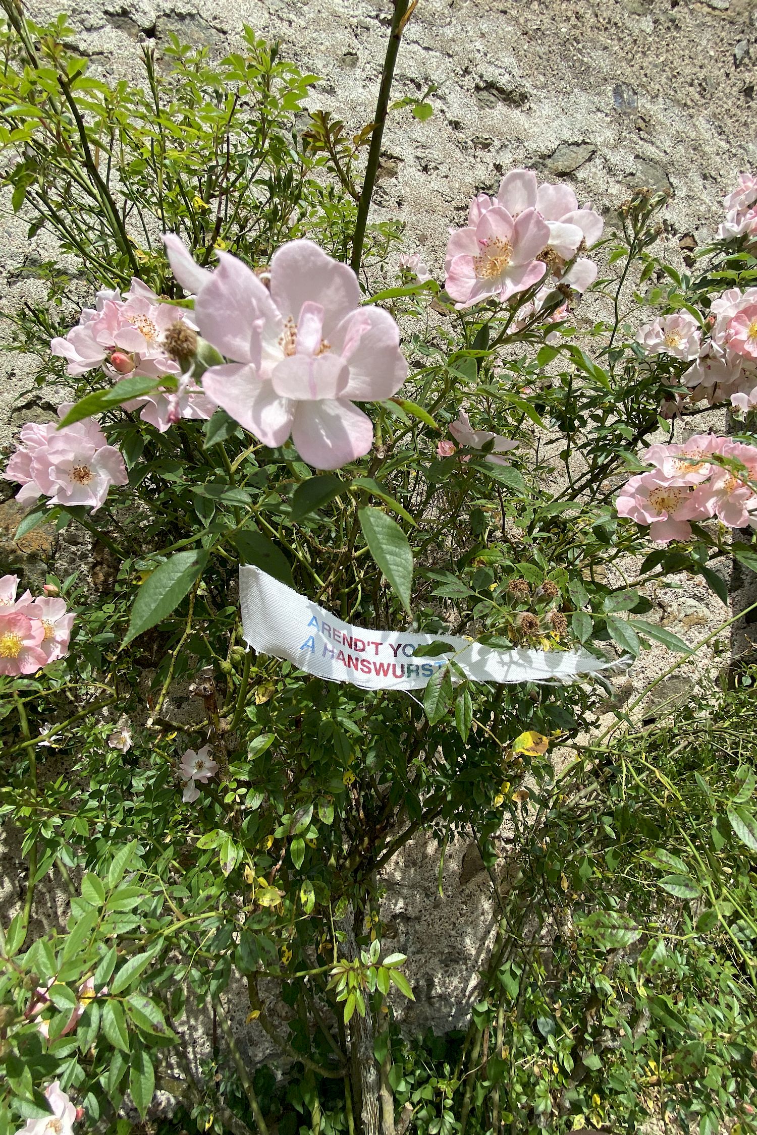 Ensemble Sommant, Bourgogne, Frankreich