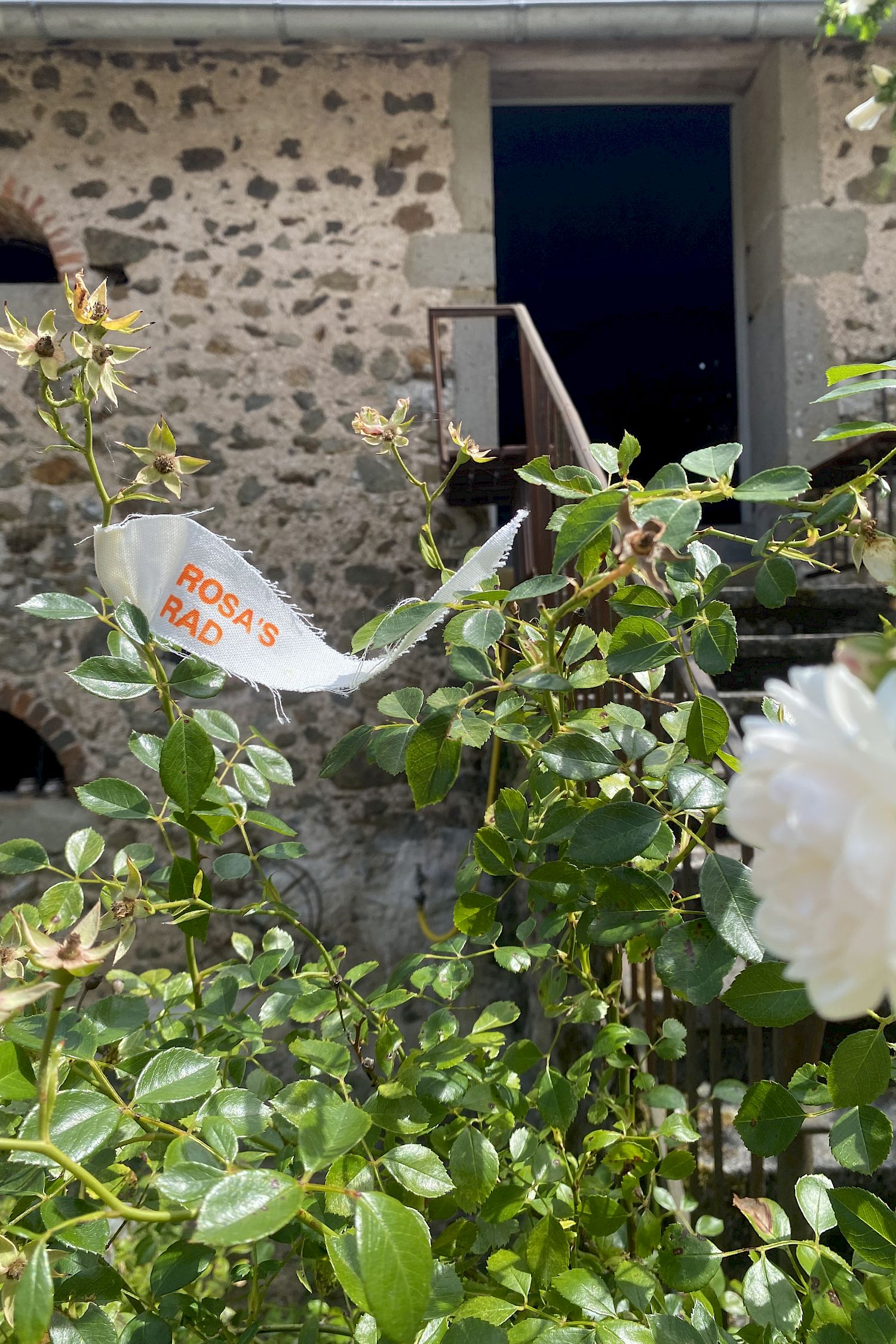 Ensemble Sommant, Bourgogne, Frankreich