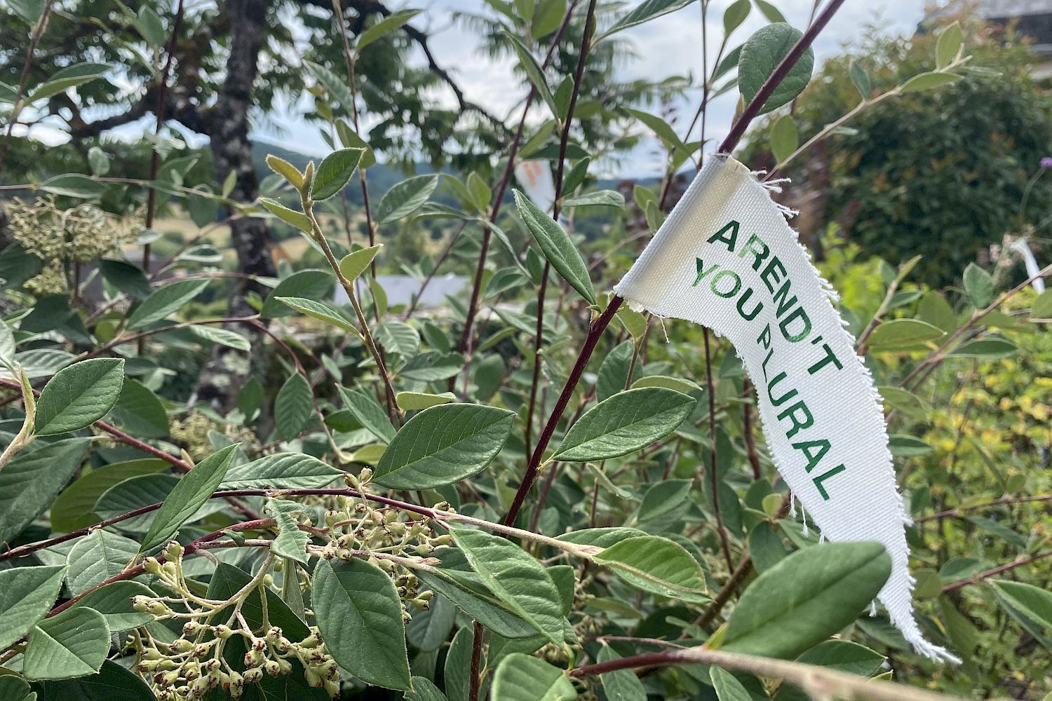 Ensemble Sommant, Bourgogne, Frankreich
