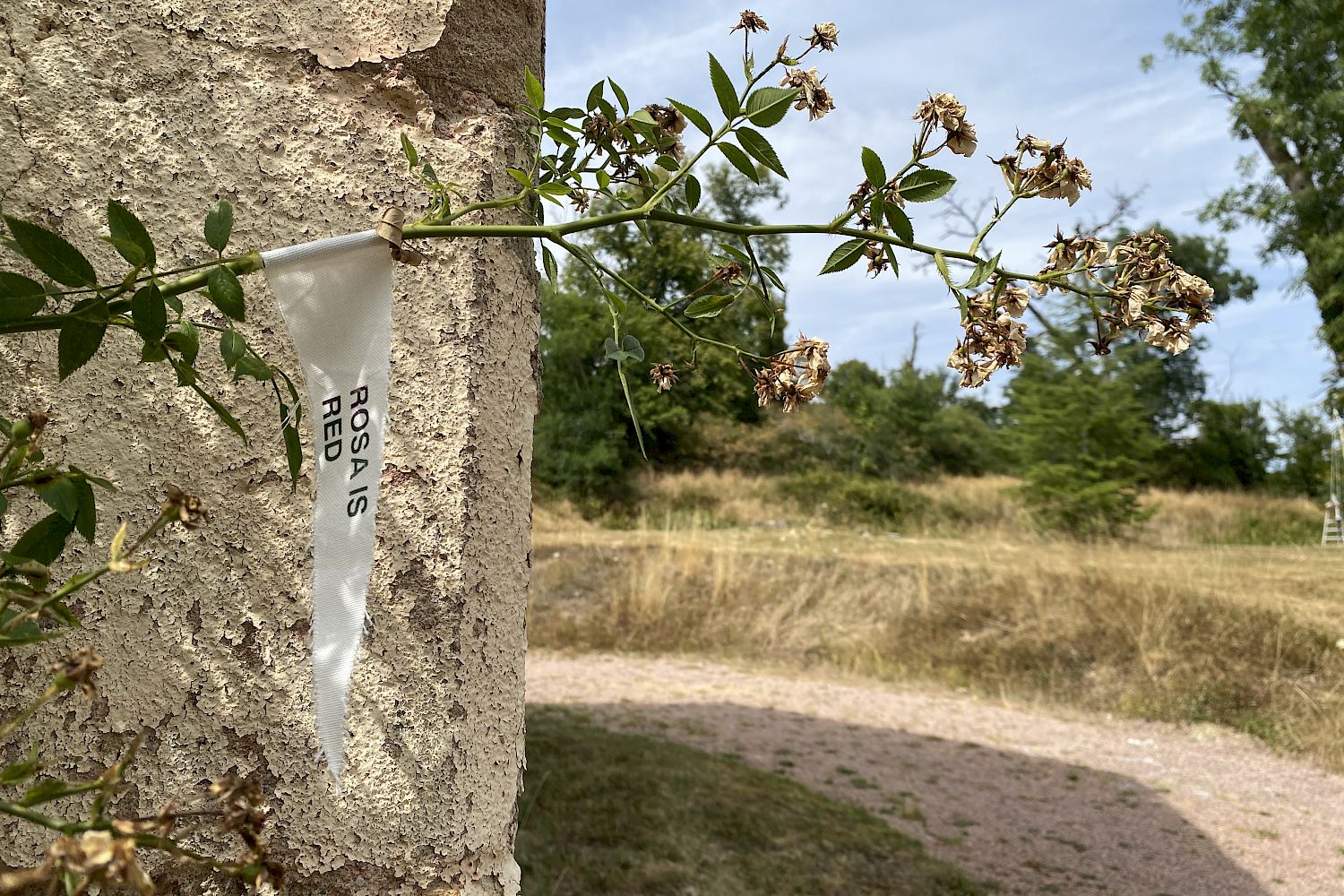 Ensemble Sommant, Bourgogne, Frankreich